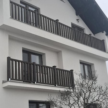 Casa Carmen Hotel Poienile Izei Eksteriør billede