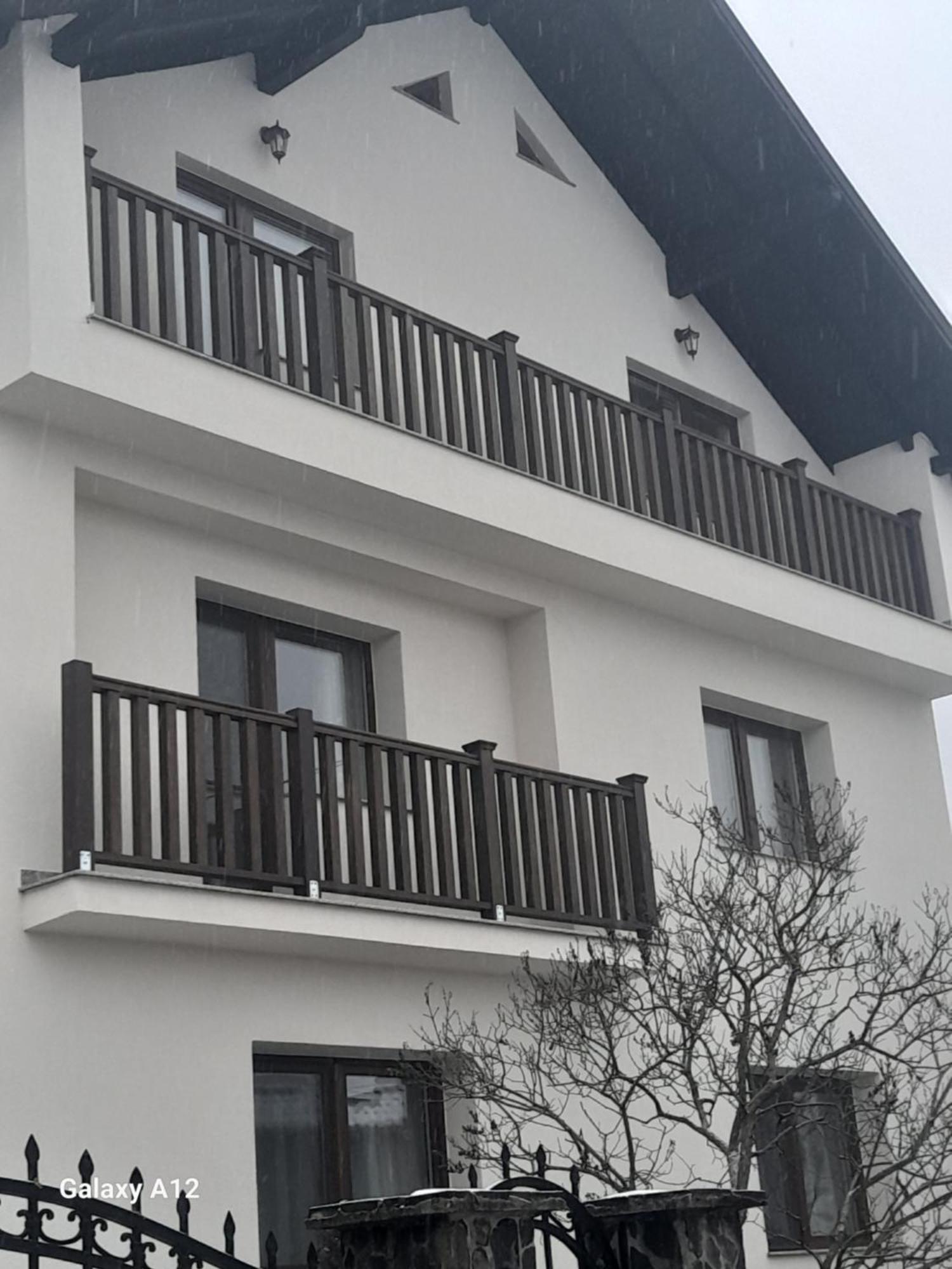 Casa Carmen Hotel Poienile Izei Eksteriør billede